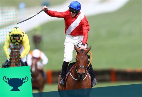 oddschecker champion hurdle.